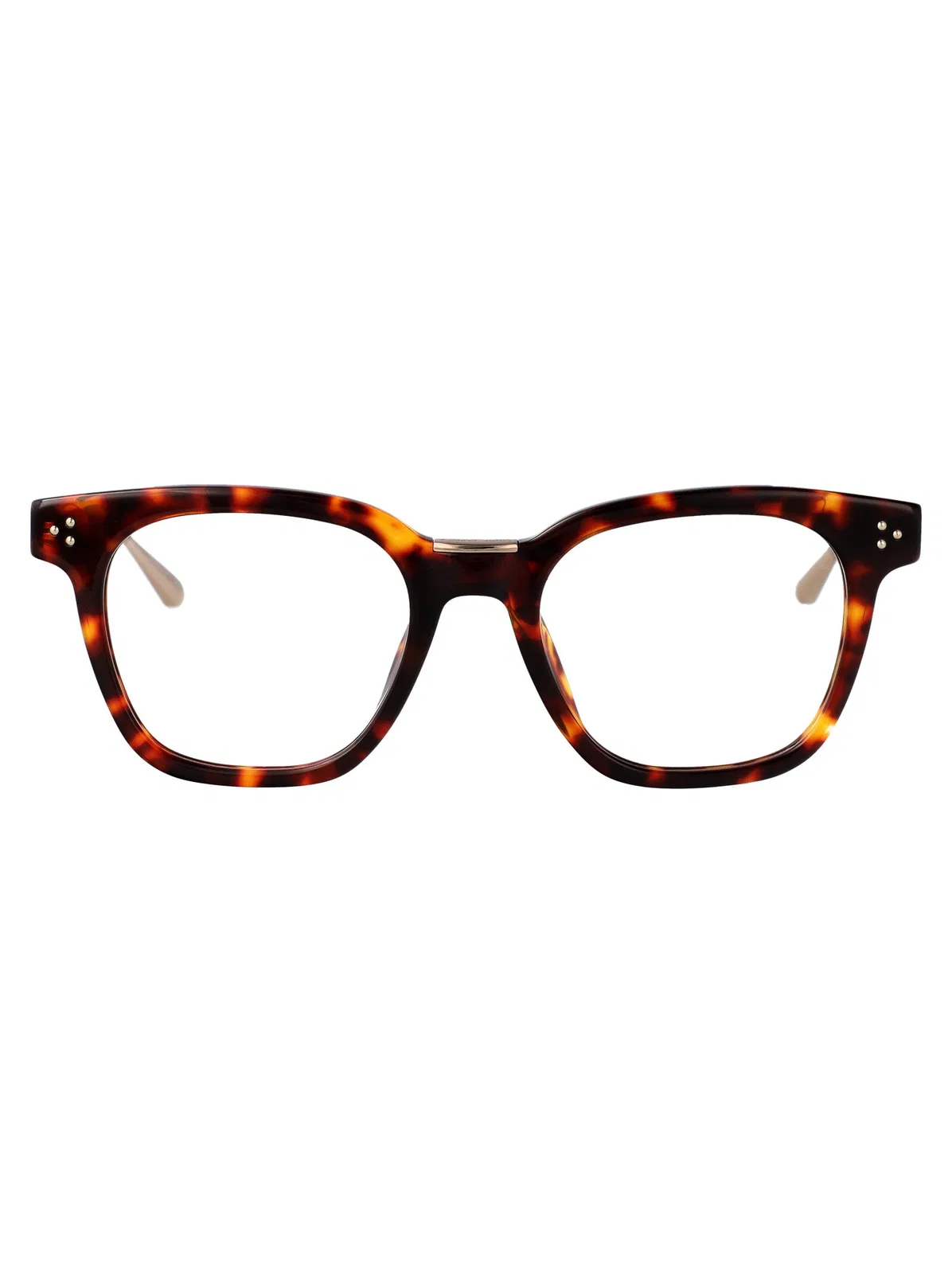 Darkt-Shell/Lightgold/Optical Acetate Glasses