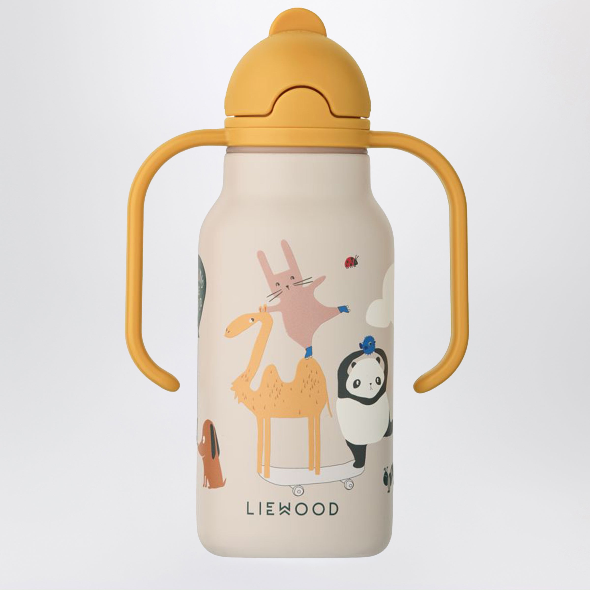 Stainless Steel Thermal Bottle Around The World