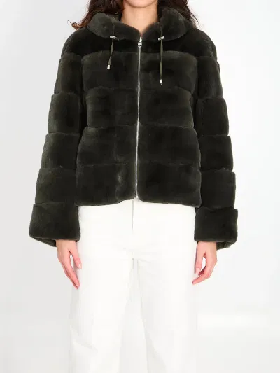 Reversible Green Fur
