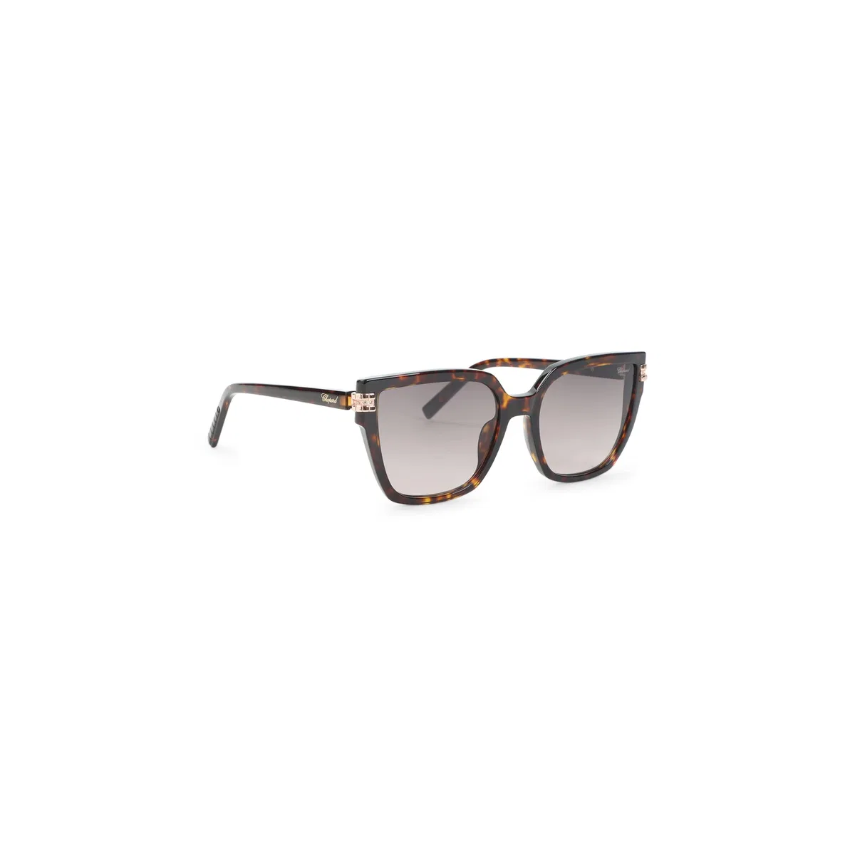 Havana Brown Acetate Sunglasses