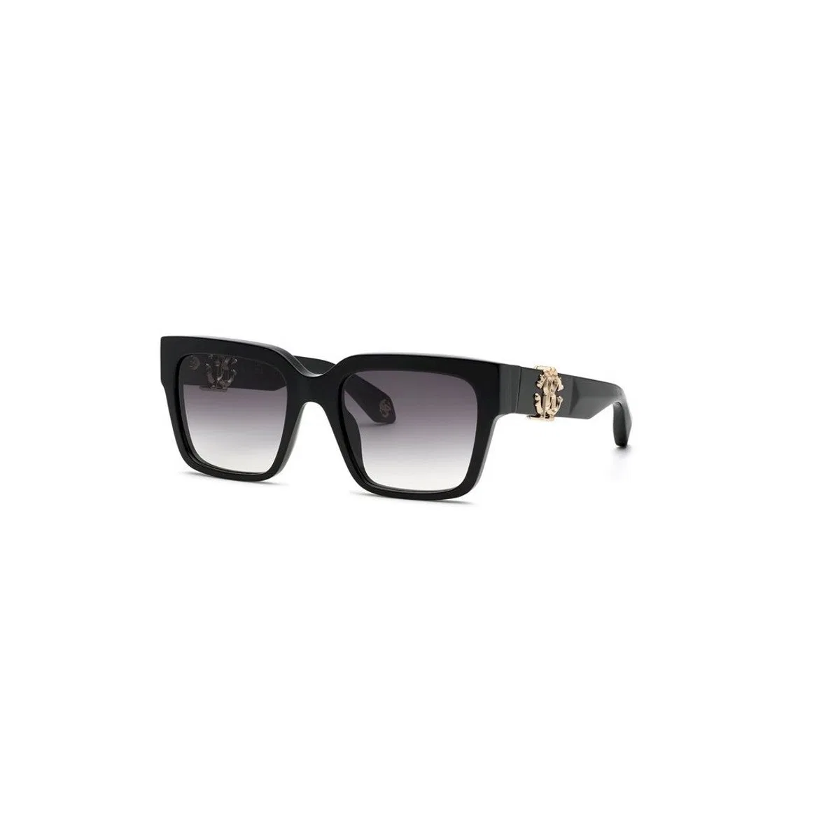Black Acetate Sunglasses