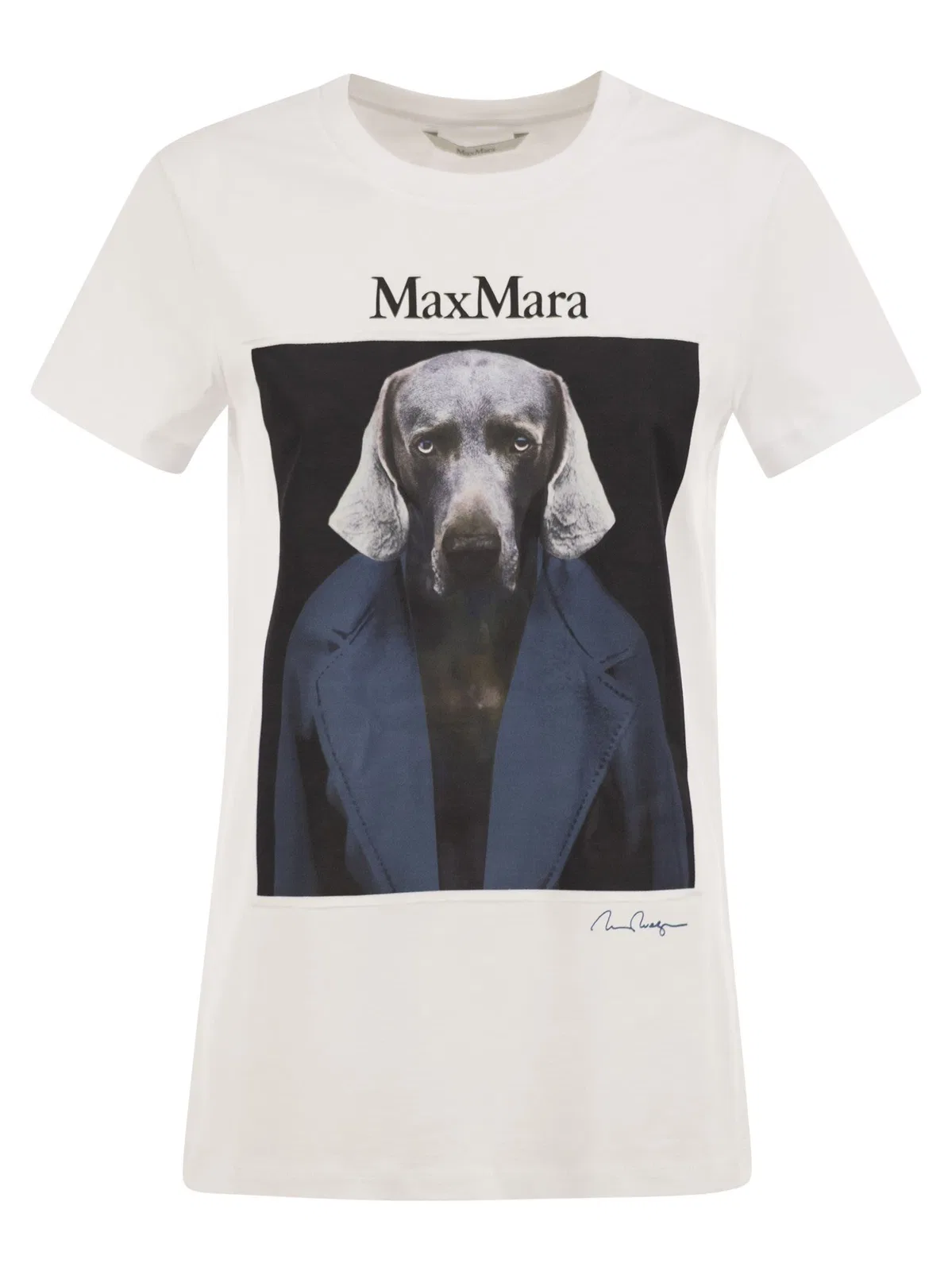 Maxmara Mxmcalca - Cotton T-Shirt With Max Mara Graphic Print